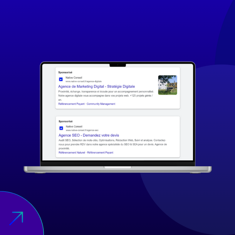 Native Conseil - Agence Google Ads Vannes - Exemple annonces publicitaire