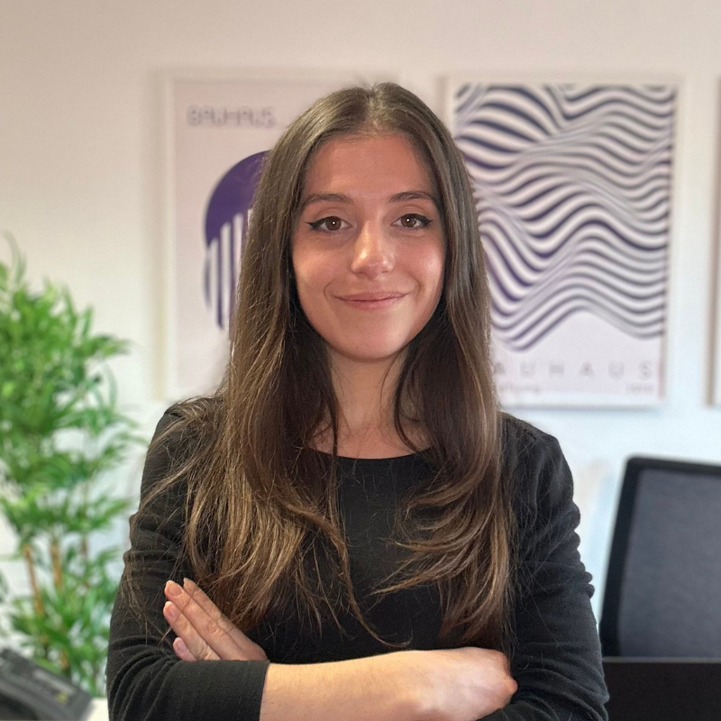 Native Conseil - Agence SEA en Bretagne