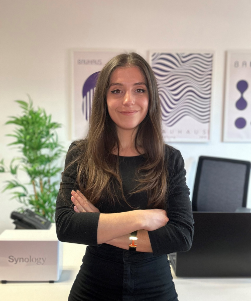 Consultant SEO expérimenté